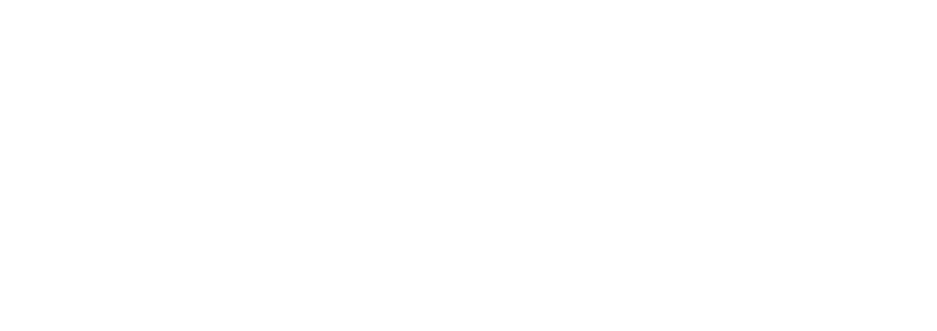 Japan Sim Data
