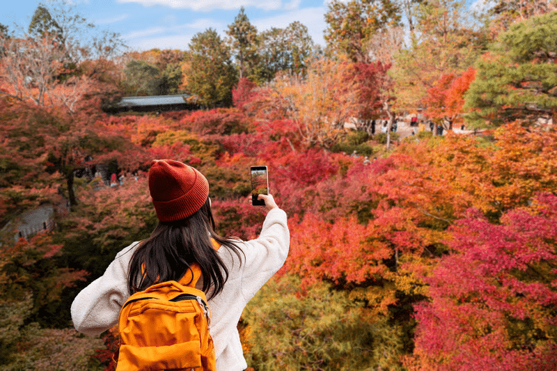 Autumn Foliage eSIM Guide: Best Plans for Koyo Season in Japan