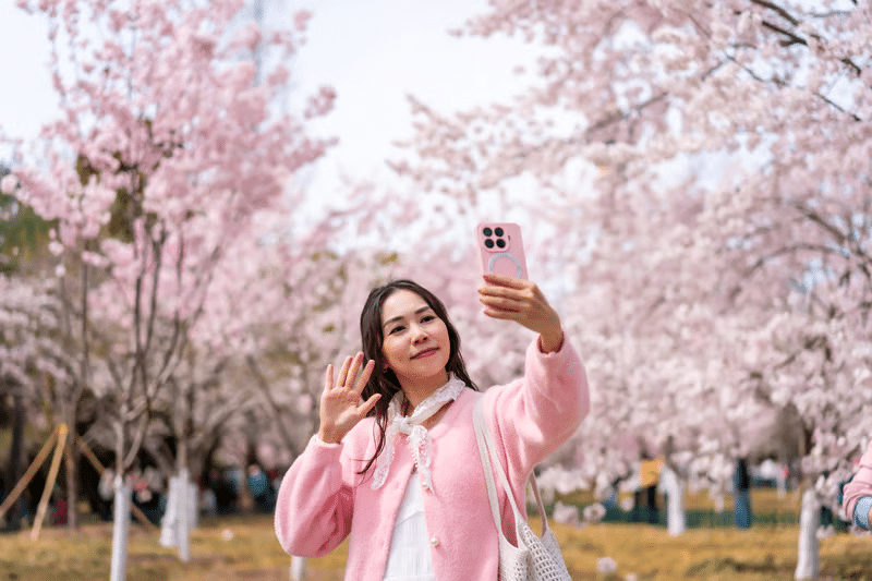 Cherry Blossom Tours: eSIM Planning for Peak-Season Groups in Japan